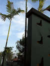 Praseban Resort 